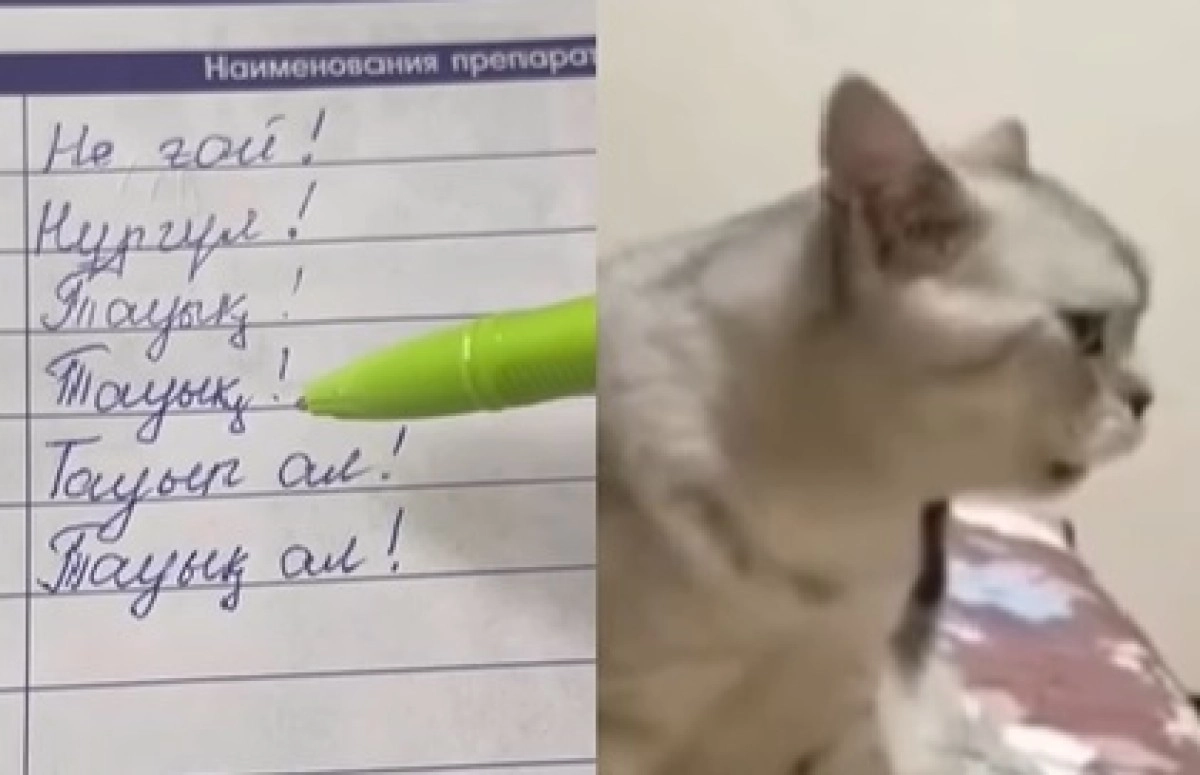 кадр из видео