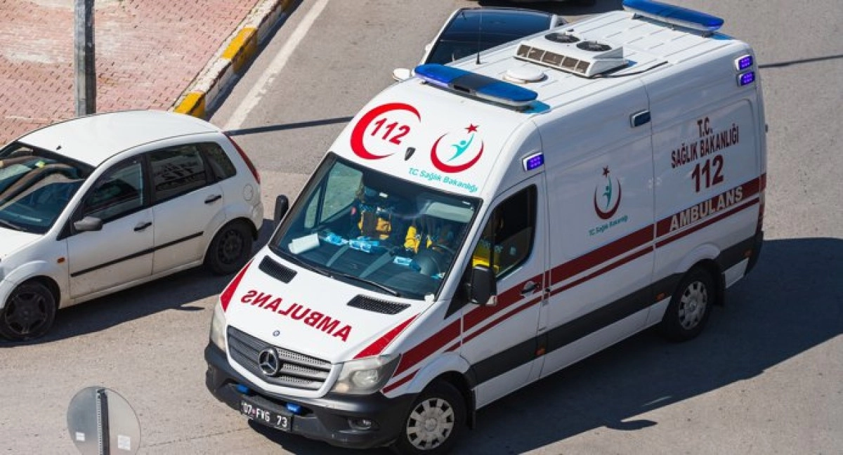 Фото: Shutterstock