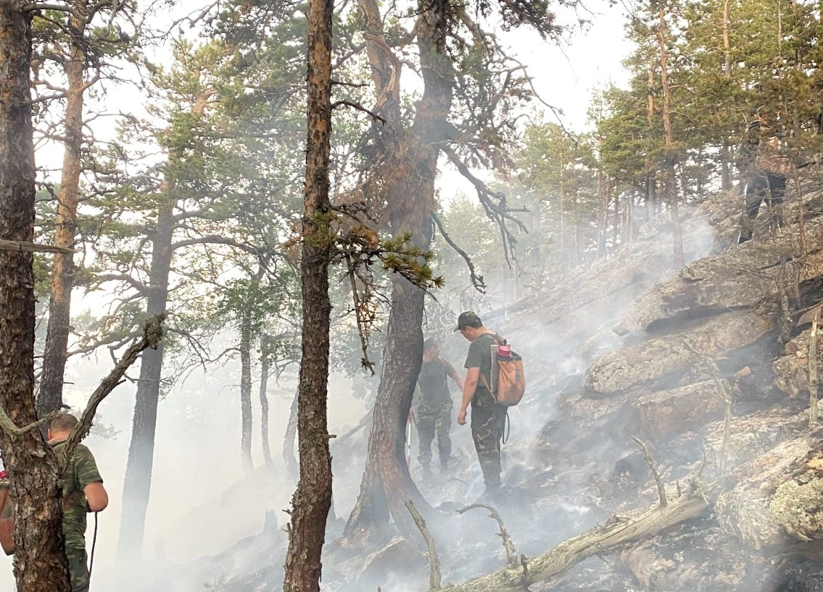 Фото: ДЧС Акмолинской области