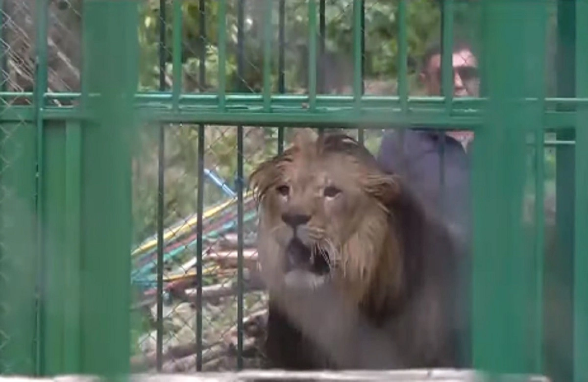 Кадр из видео