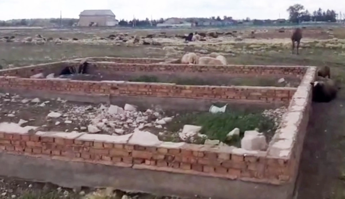 Фото: Петропавловск.news