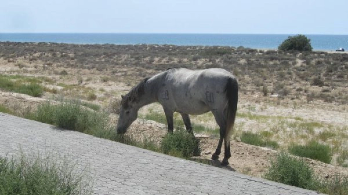 Фото местных жителей
