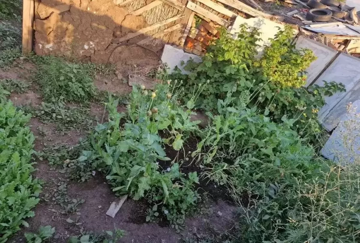 Фото: пресс-служба департамента полиции Костанайской области