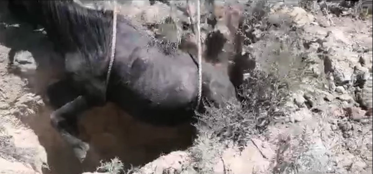 Фото: ДЧС ВКО