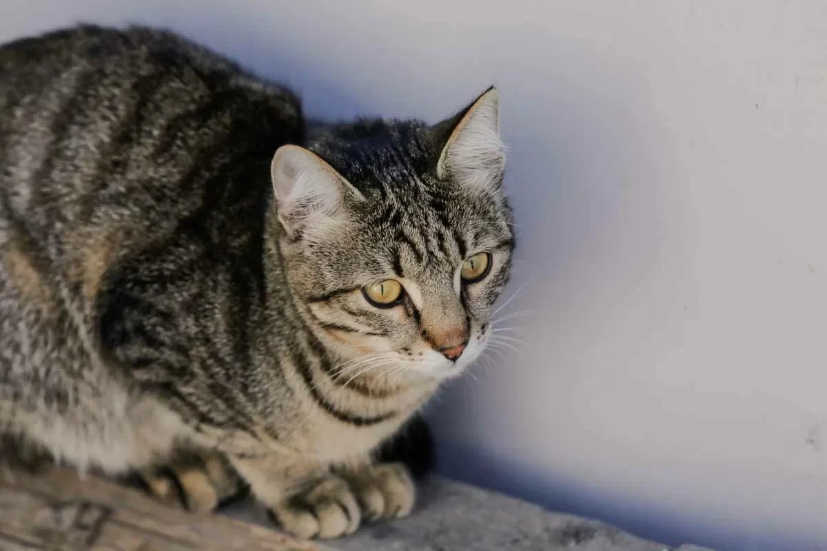 Фото ИА «NewTimes.kz»