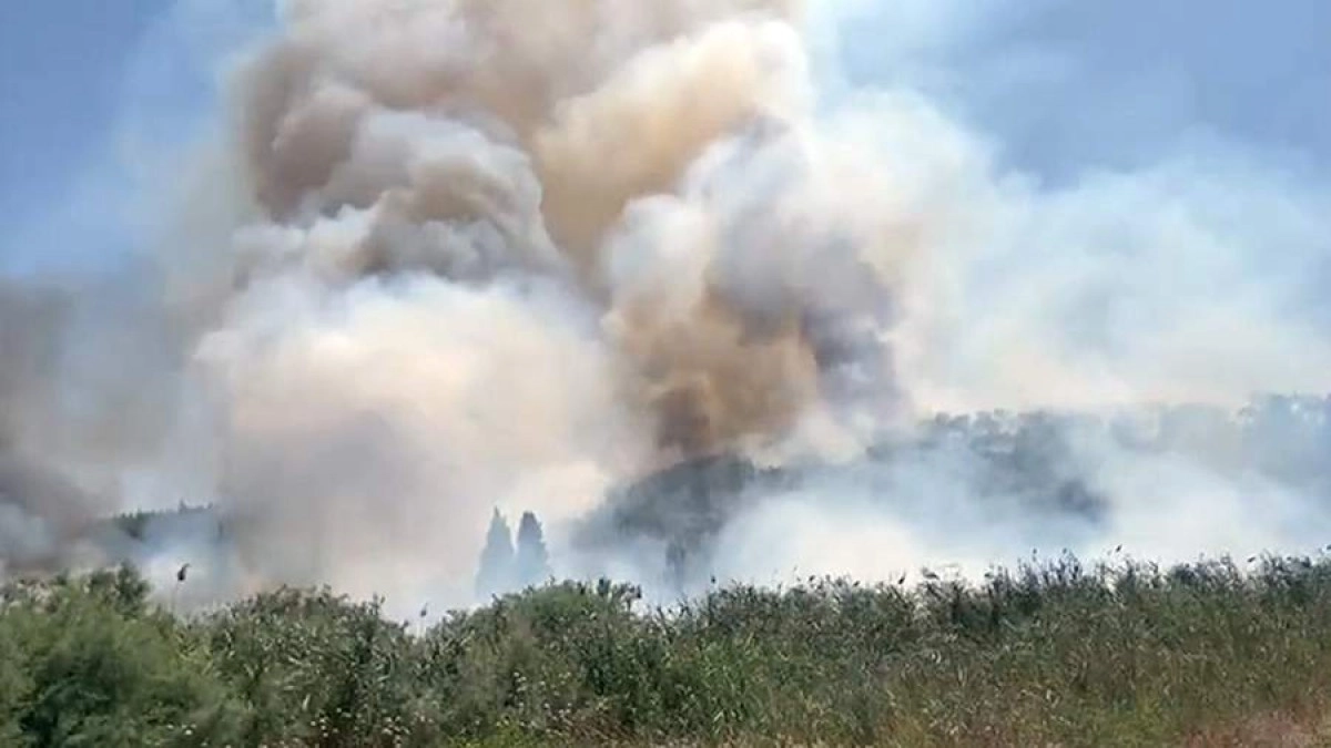 Фото: Соцсети