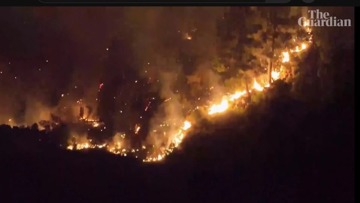 Кадр из видео