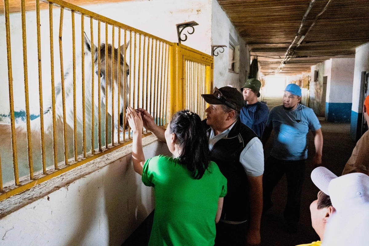 Фото: Центр социальных услуг «Алатау» управления занятости и социальных программ Алматы и администрация ТОО «Конезавод Кобыланды»