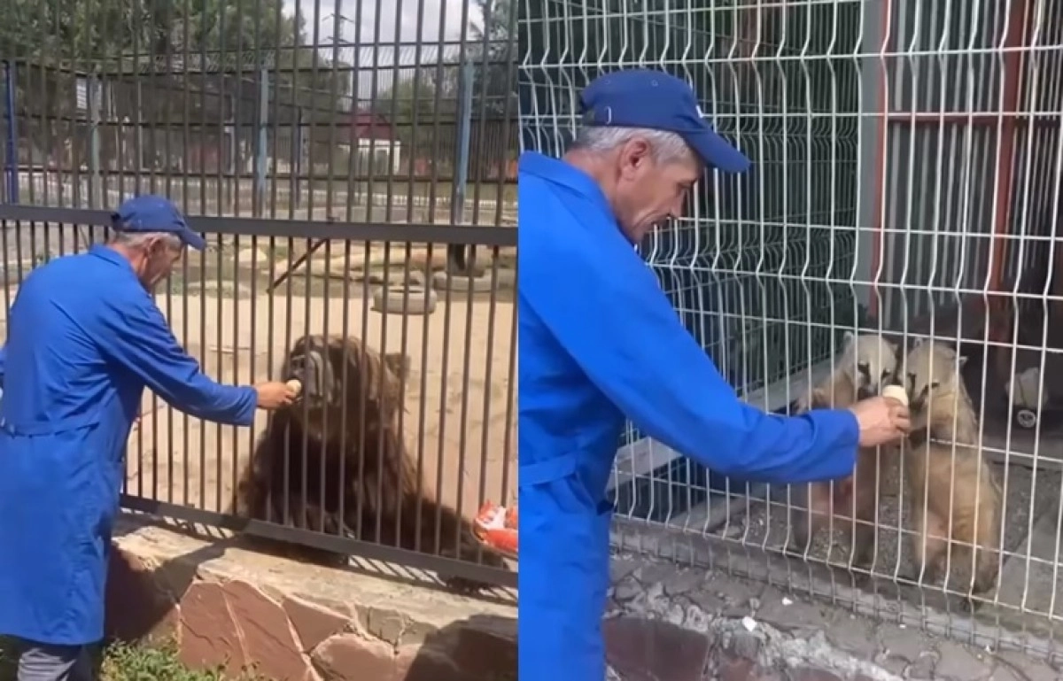 Коллаж: ИА «NewTimes.kz»