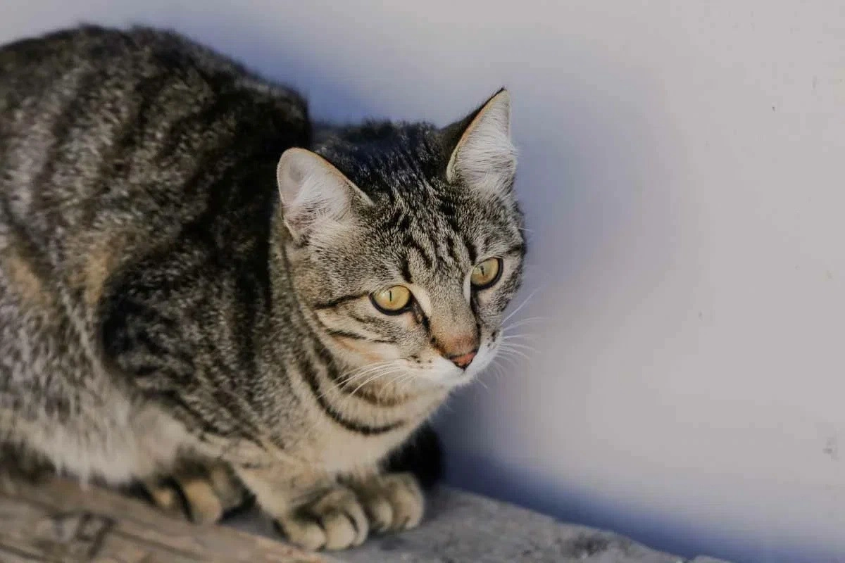 Фото: ИА «NewTimes.kz»