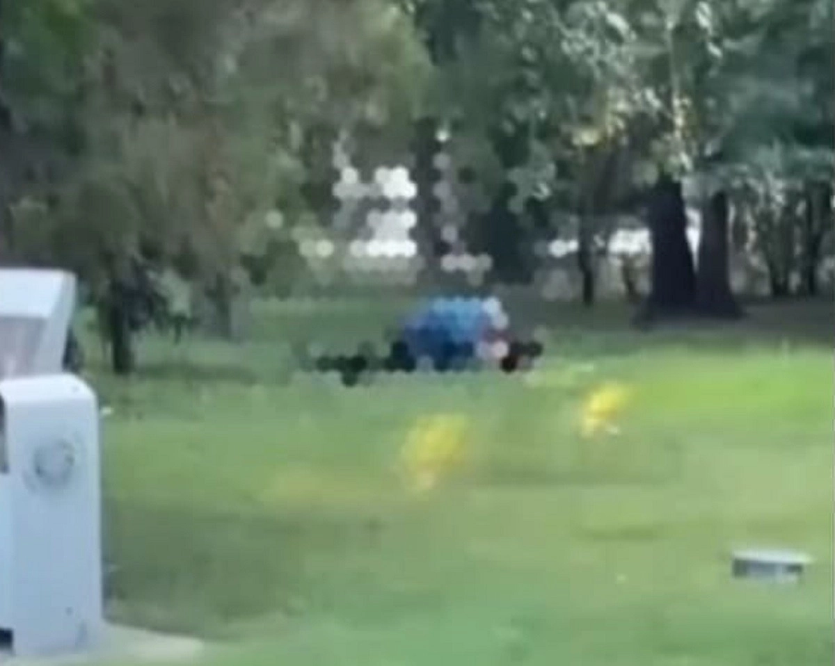 Кадр из видео