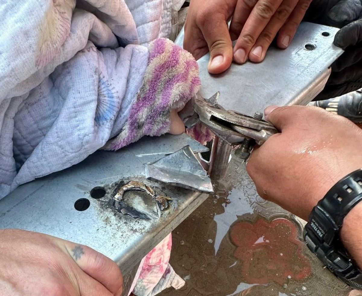 Фото: МЧС РК