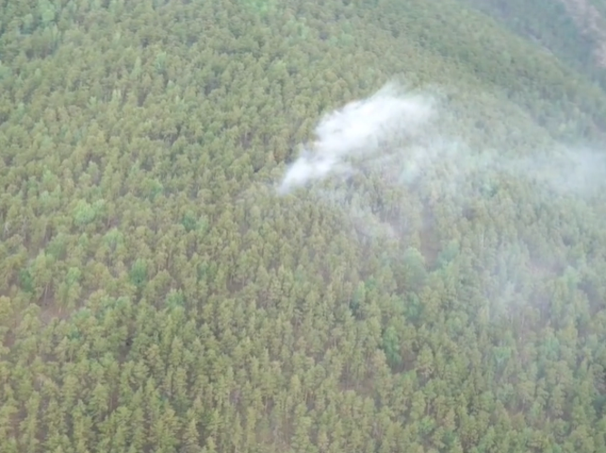 Фото:  Кадр из видео