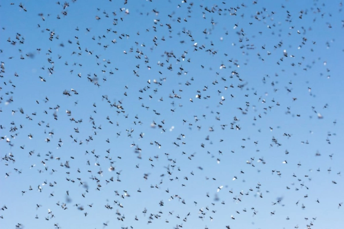 Фото: Telegram/ News.ru