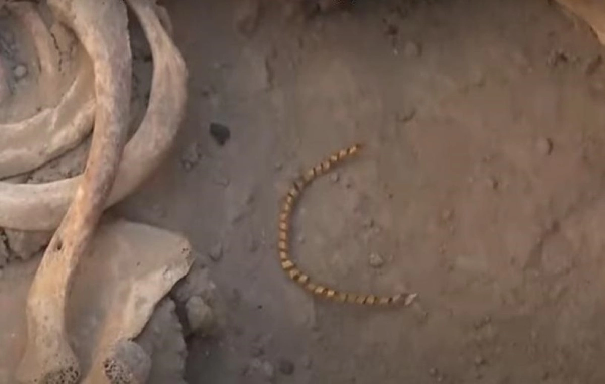 Фото: скриншот видео 24.kz