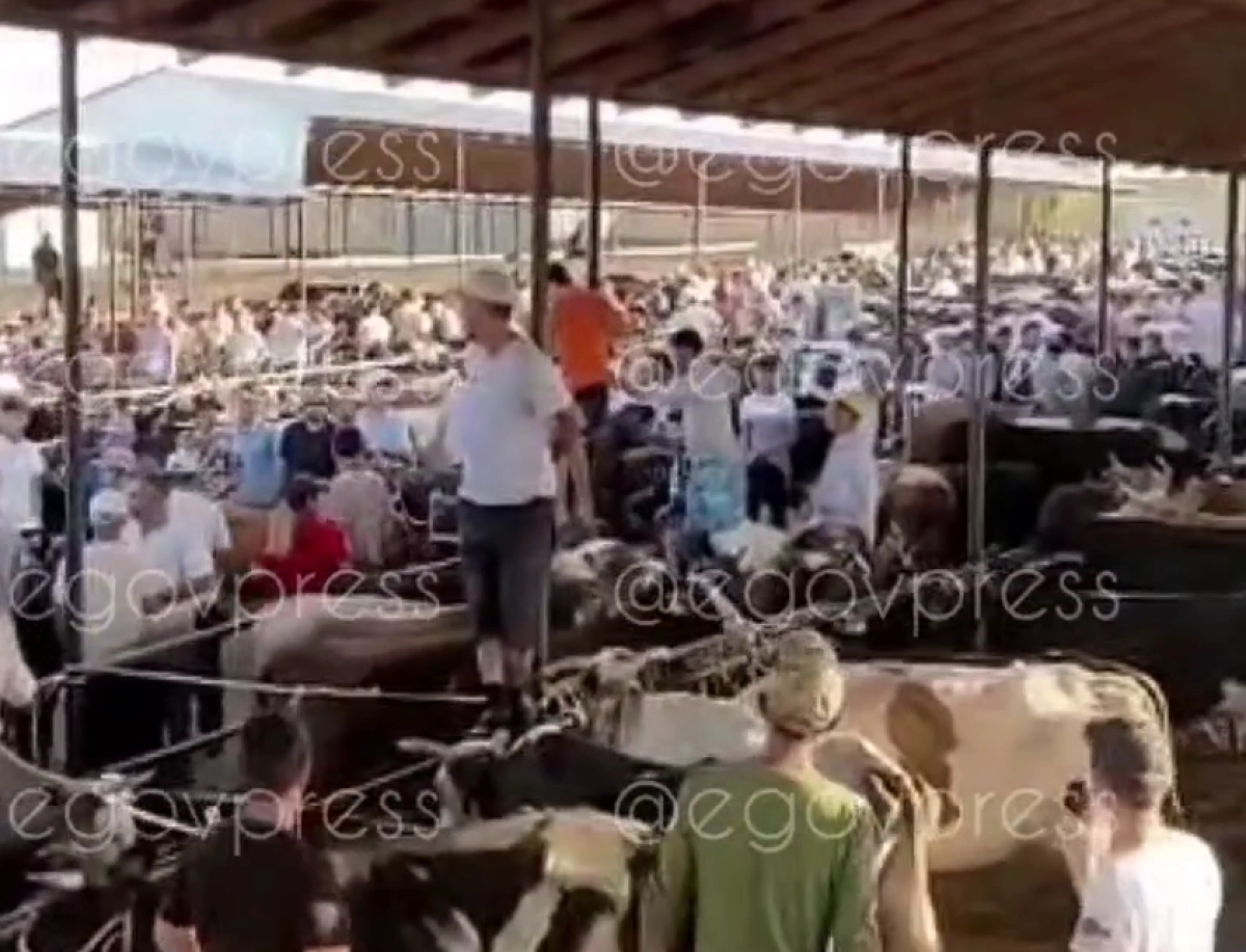 Фото: Telegram/ egovpress