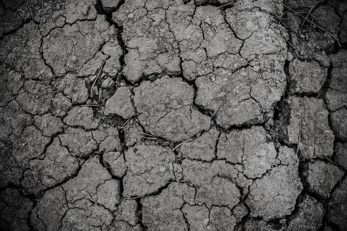 Фото: pixabay.com
