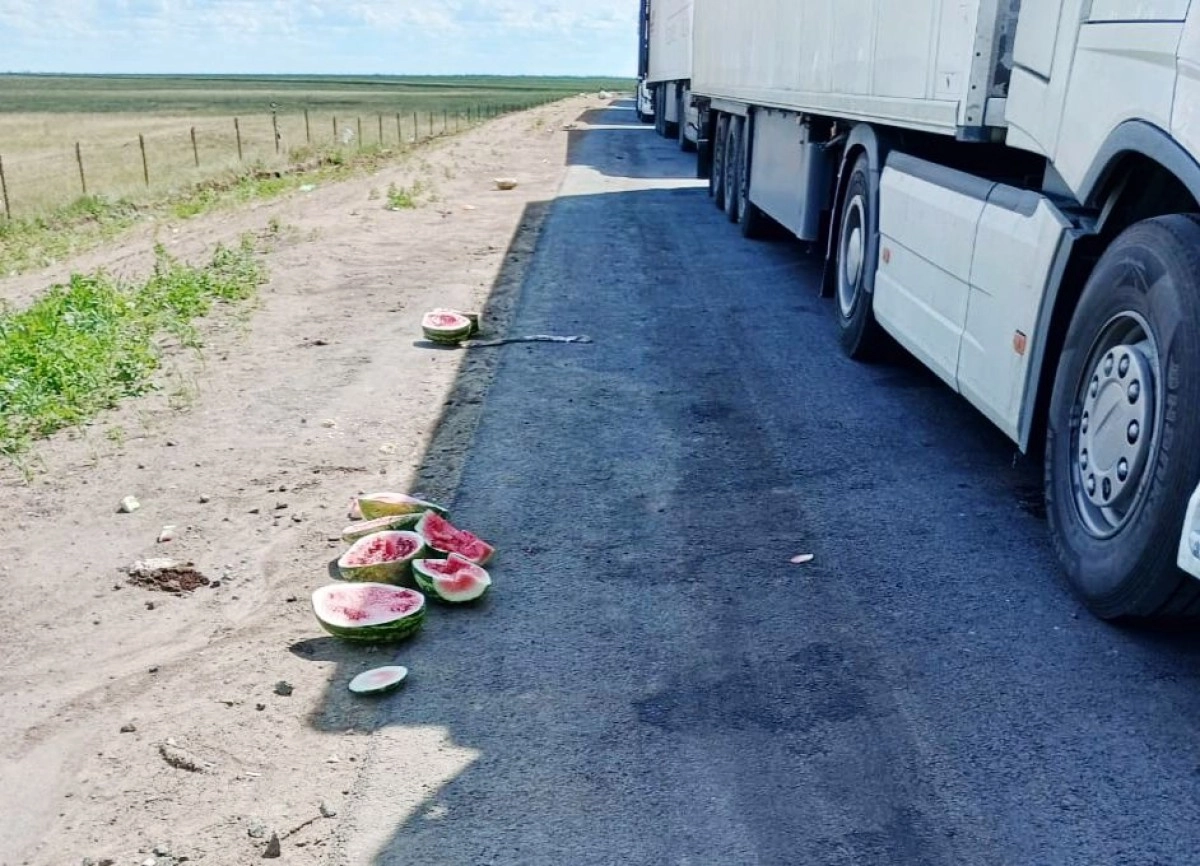 Фото: Петропавловск.news