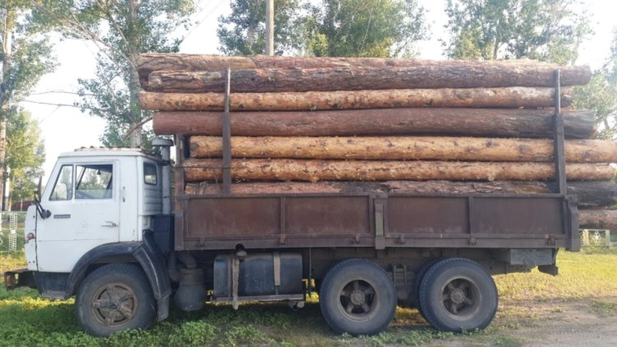Фото: ДП Павлодарской области