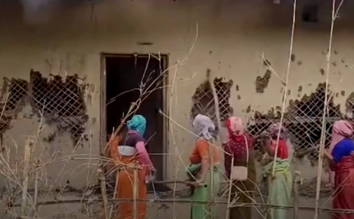 Фото: кадр из видео