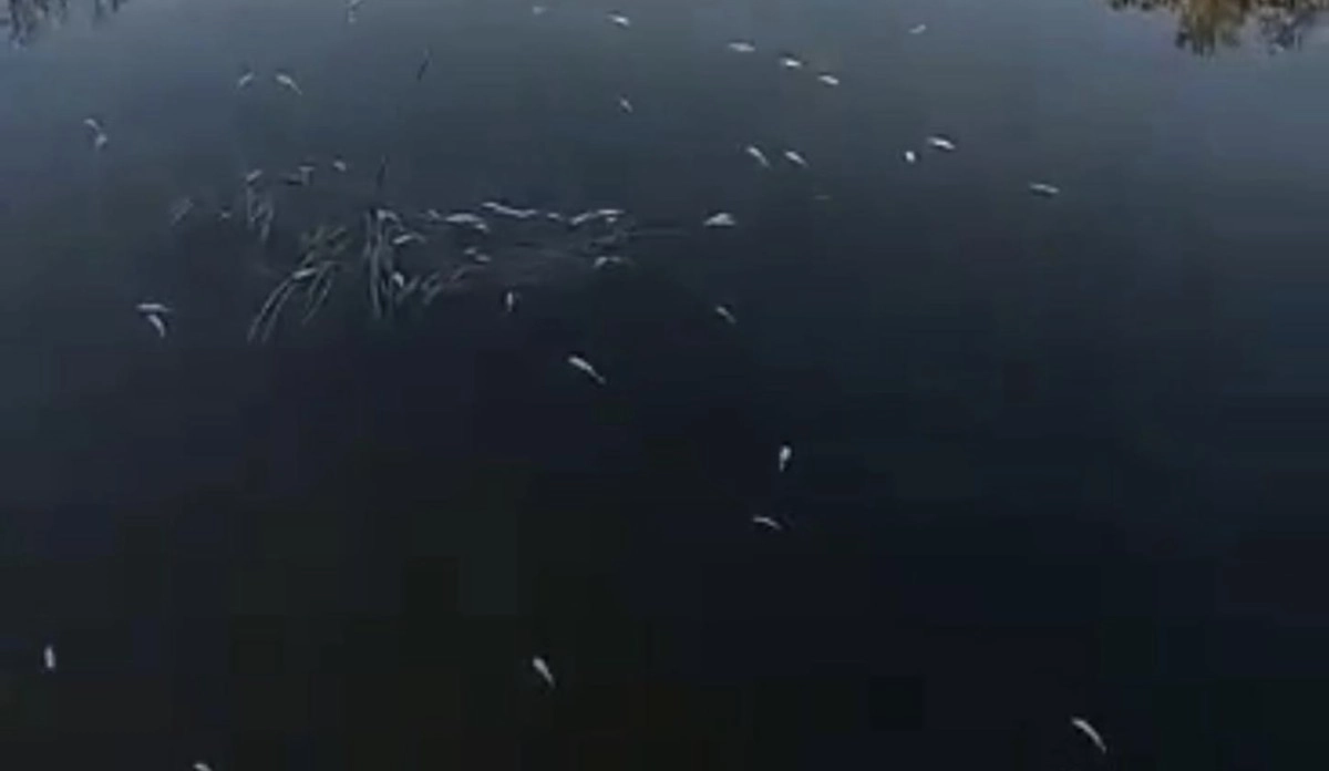 Фото: AtyrauPress