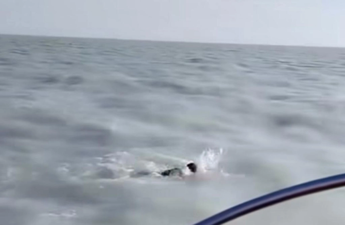 Кадр из видео