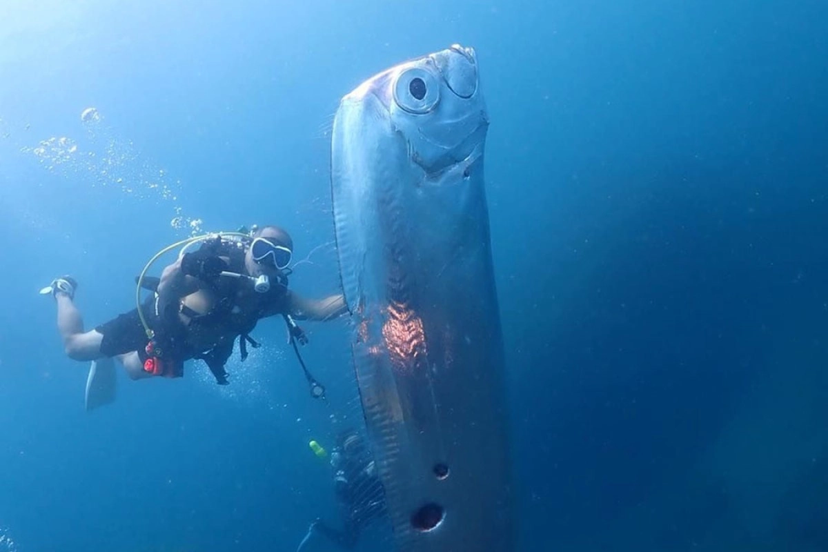 Фото: Соцсети/Ван Ченг-Ру