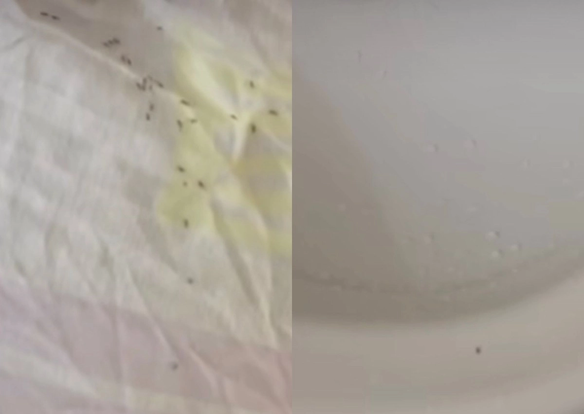 Фото: кадр из видео