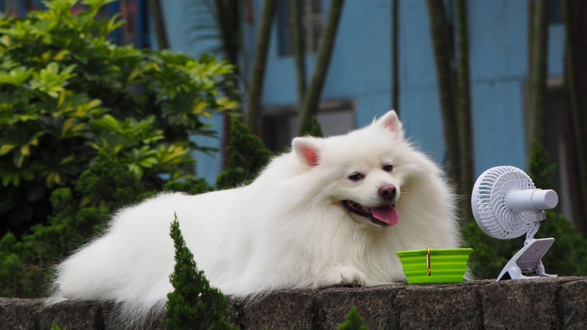 Фото: pixabay.com