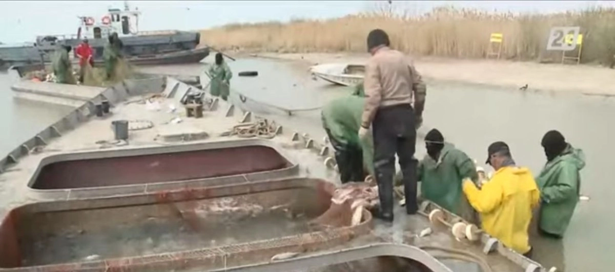 Кадр из видео