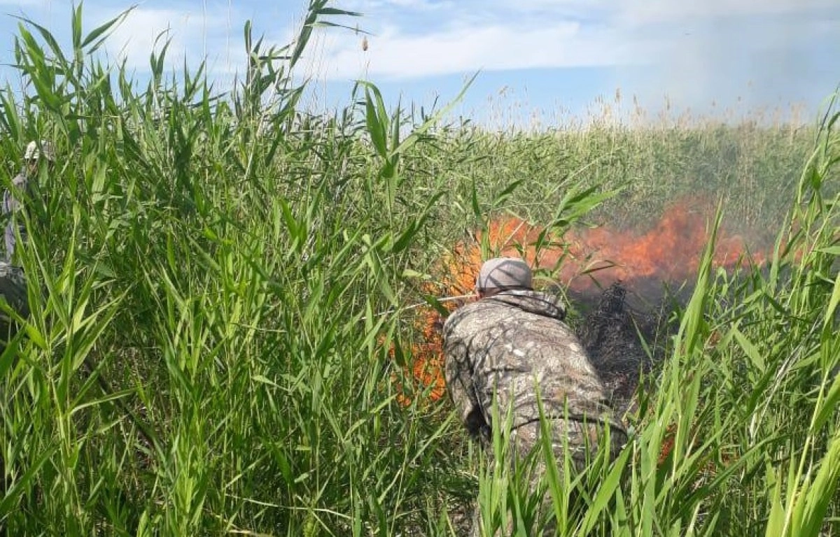 Фото: МЧС РК