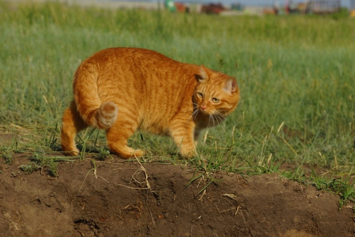 Фото: Ирина Шевнина