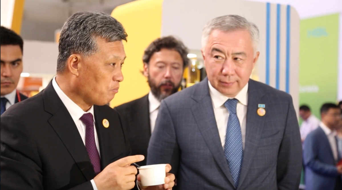 Фото: кадр из видео