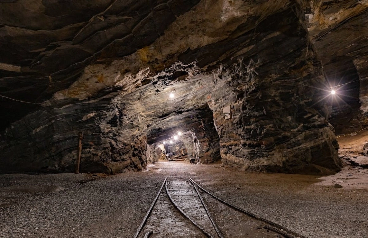 Фото: Pexels