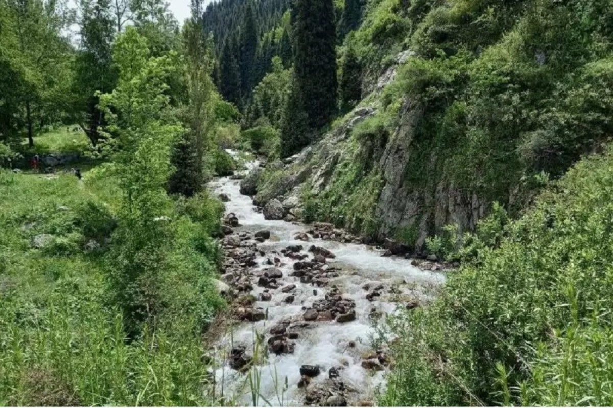 Иллюстративное фото almaty_tjd