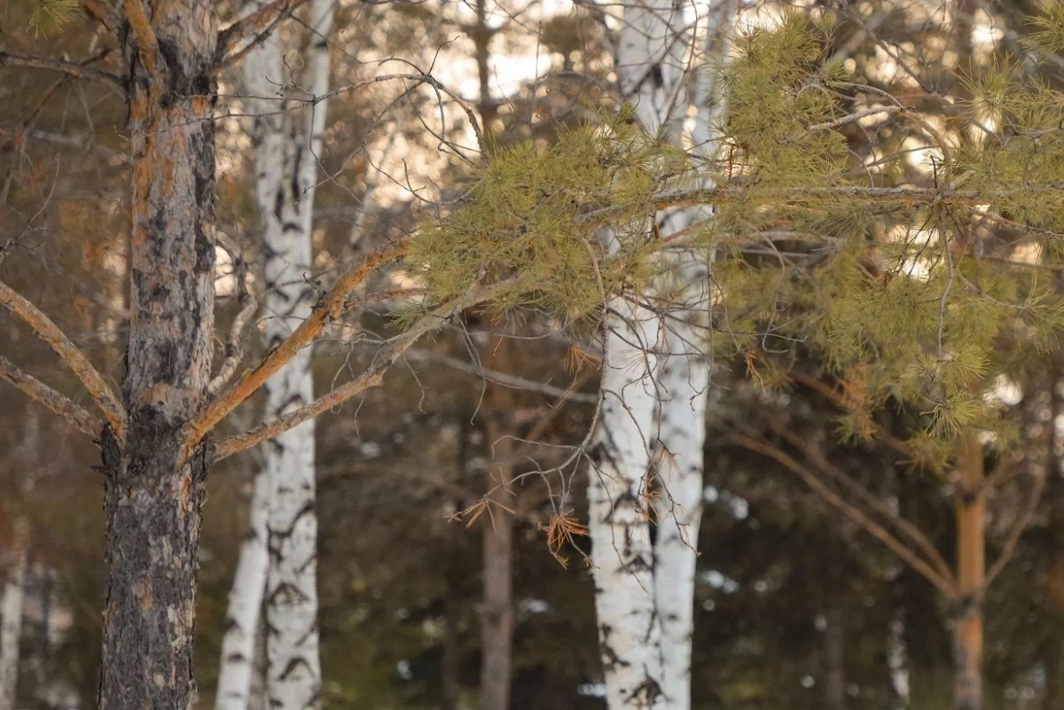 Фото: ИА «NewTimes.kz»