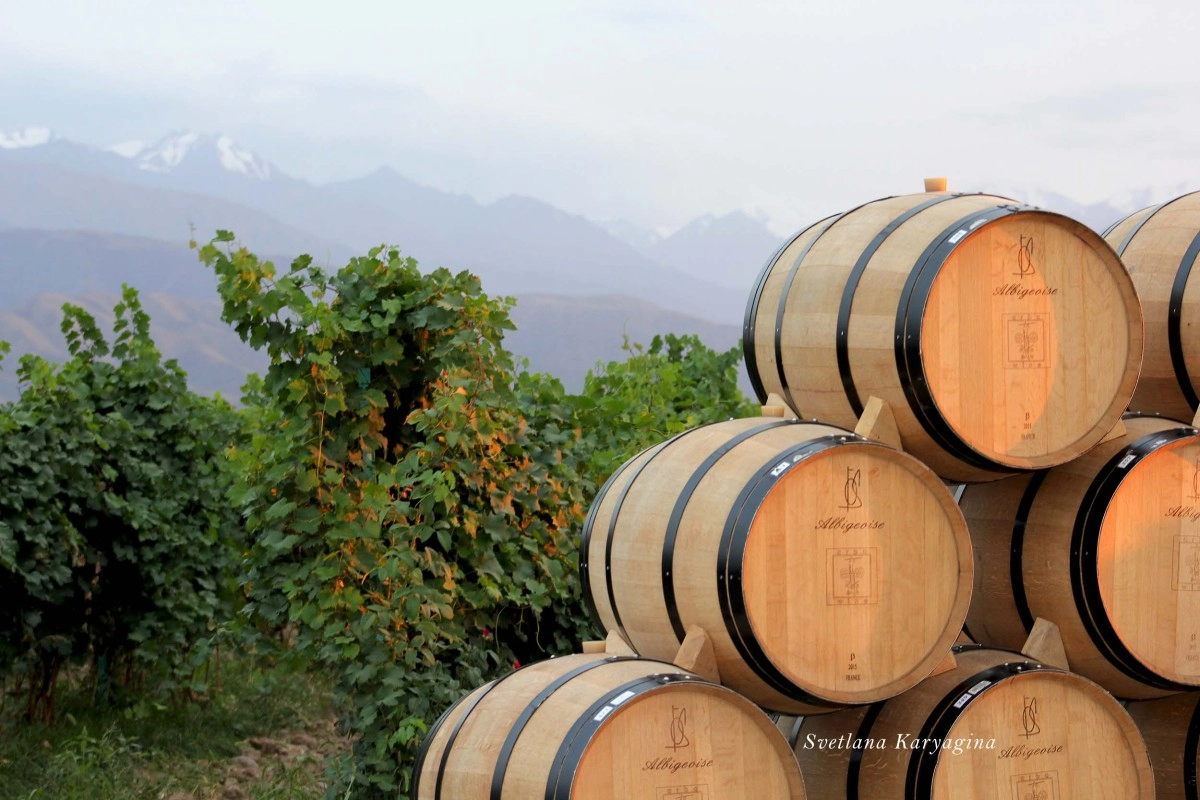 Фото Светланы Карягиной