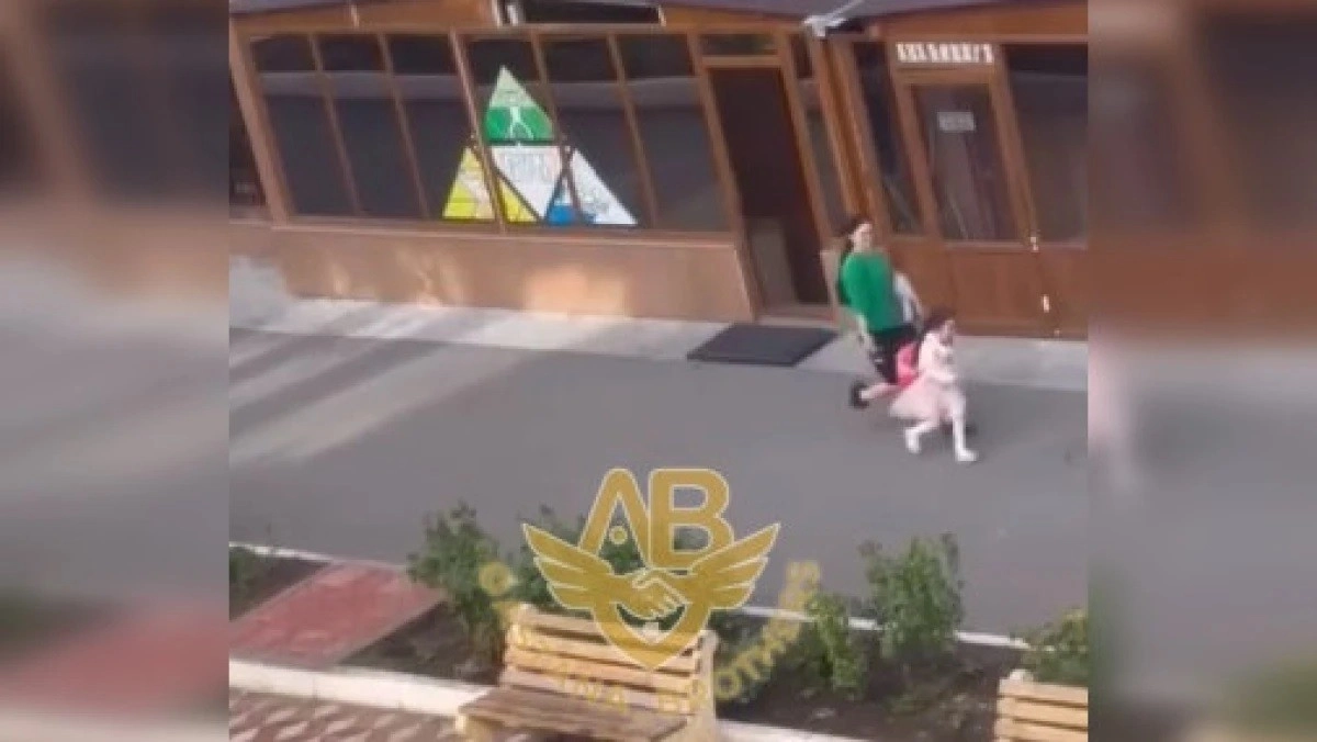 Фото: скриншот видео