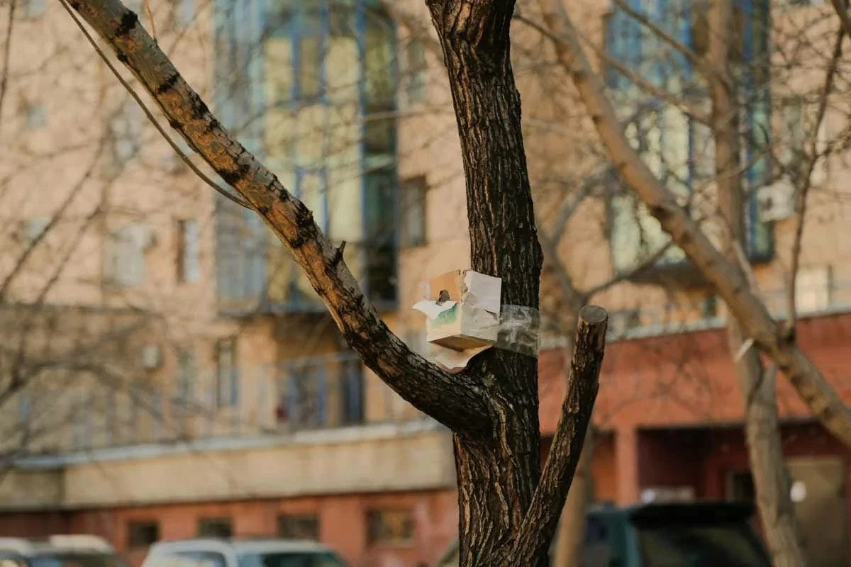 Фото: ИА «NewTimes.kz»