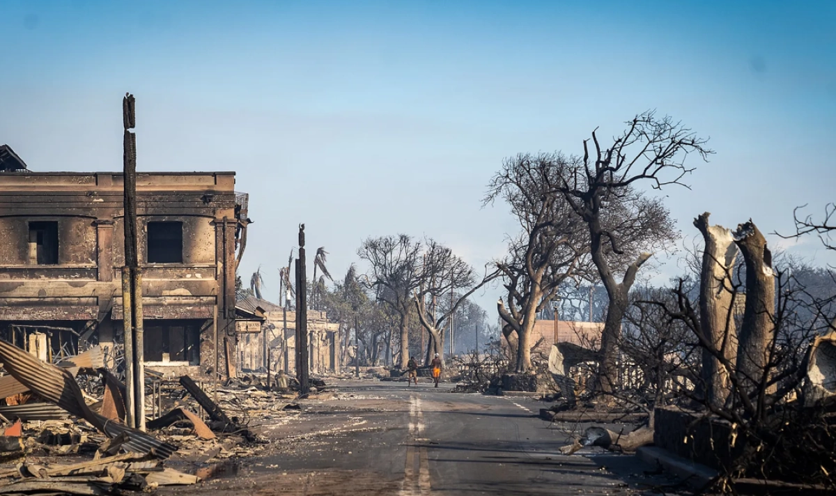 Фото: globallookpress.com