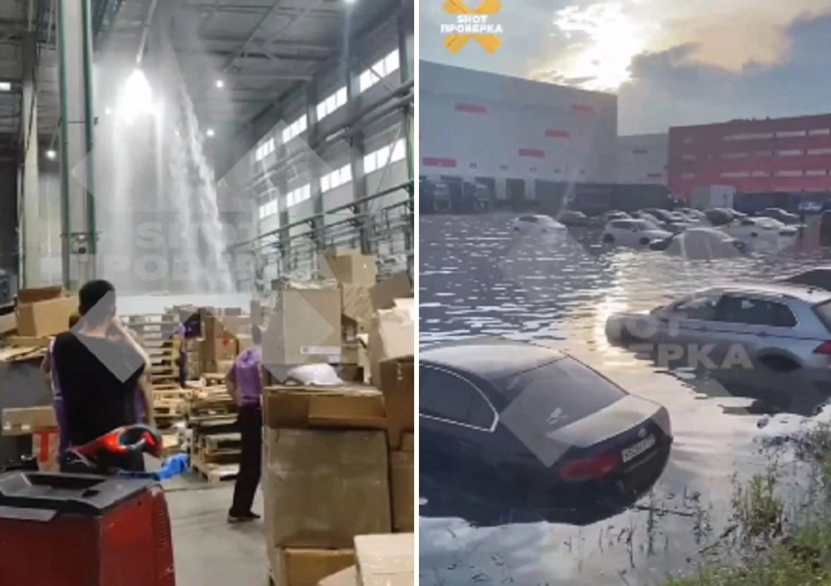 Кадр из видео