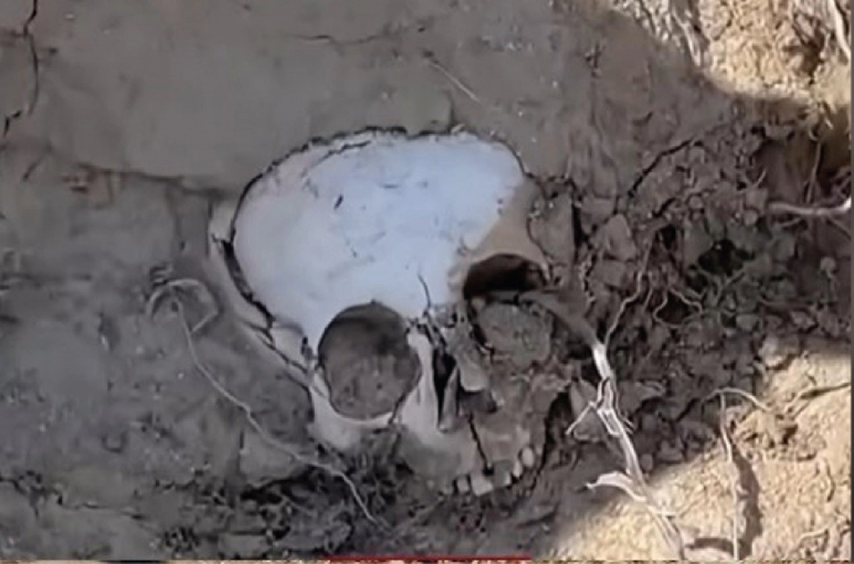 Кадр из видео