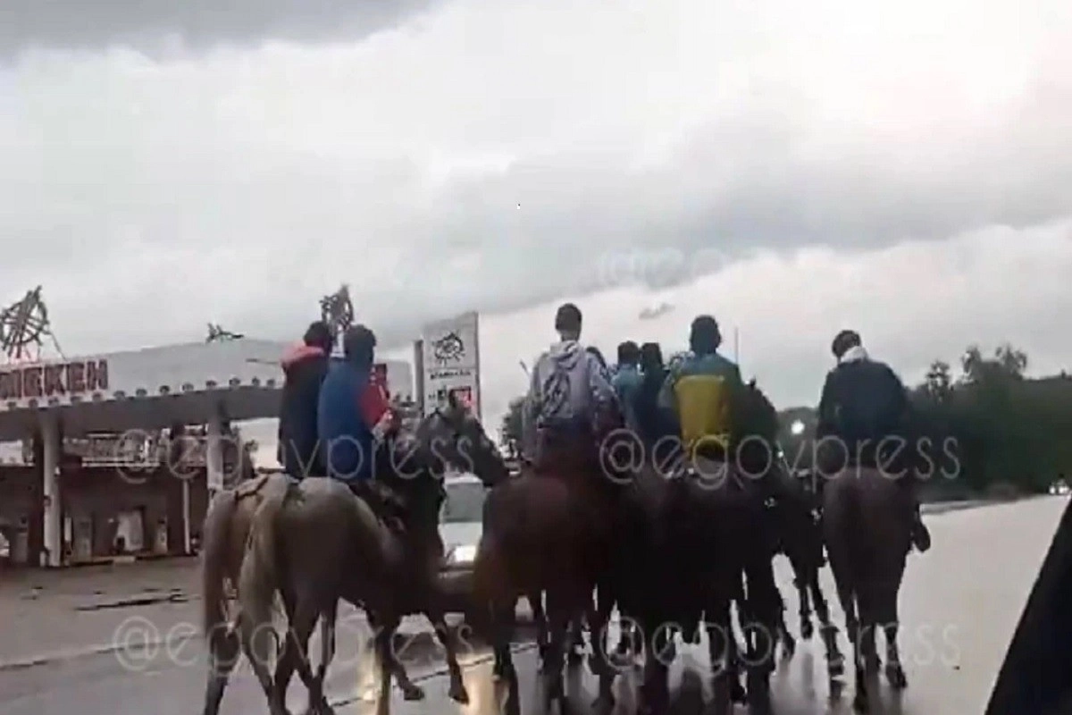 Фото: скриншот видео