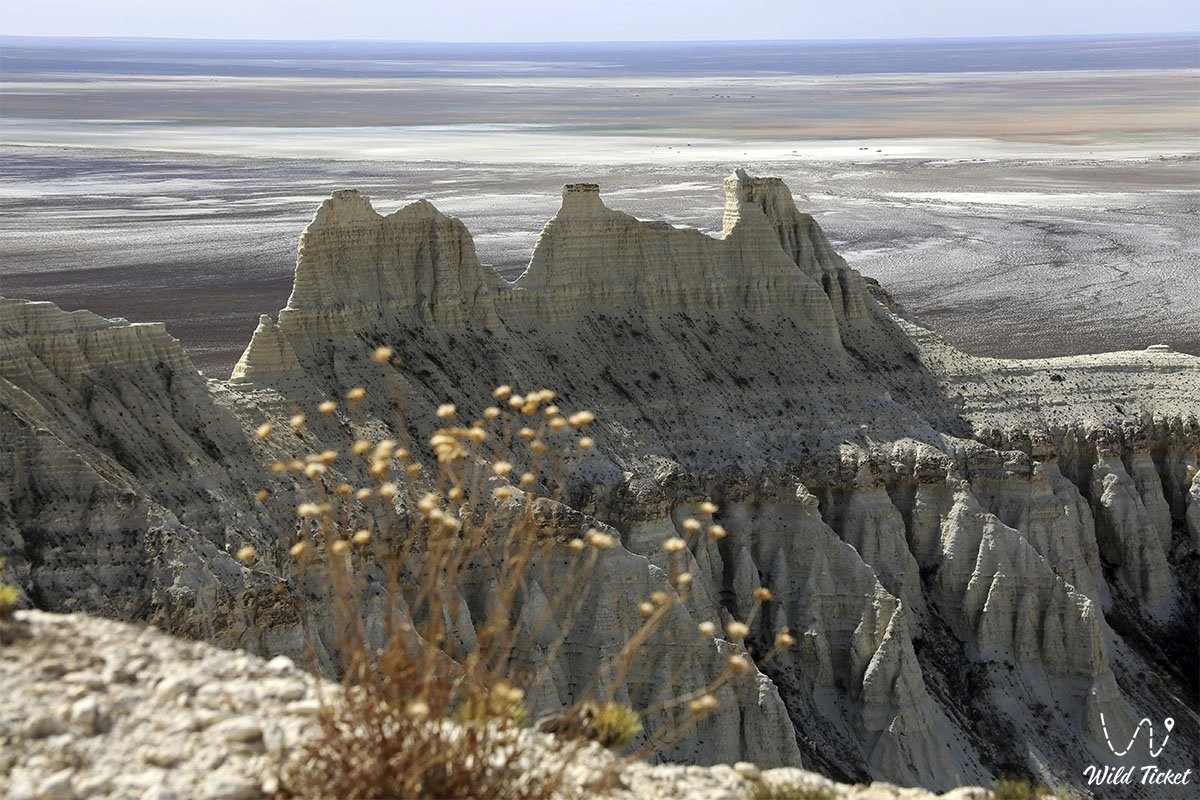 Фото: wildticketasia.com