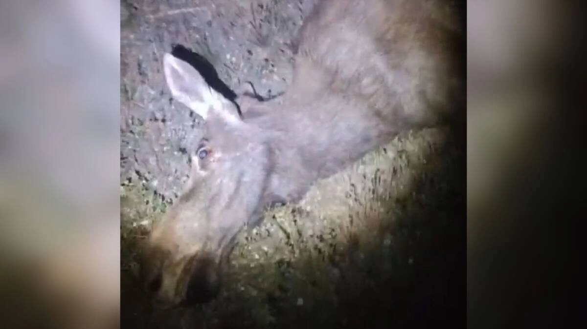 Фото: Polisia.kz