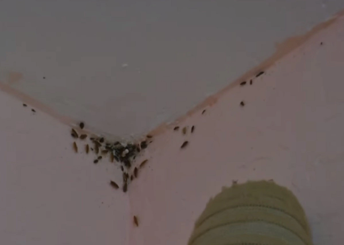 Кадр из видео