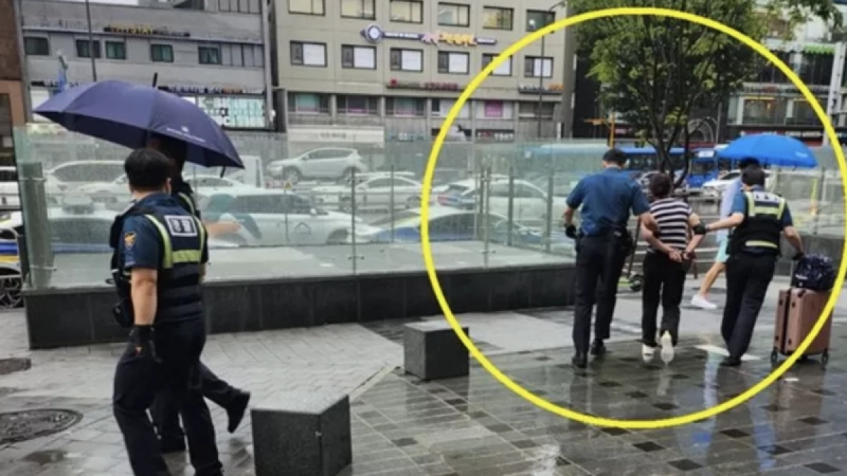 Фото: Insight.co.kr