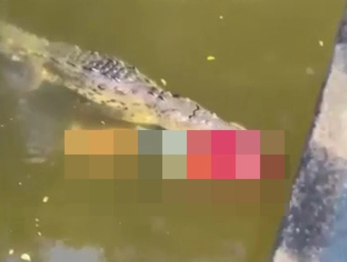 Фото: The Sun/ Jam Press Vid