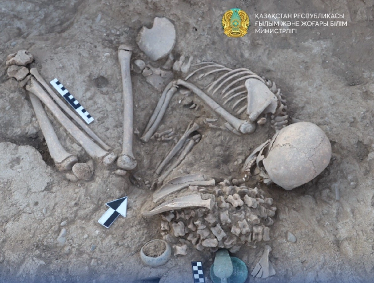 Фото: Министерство науки и высшего образования