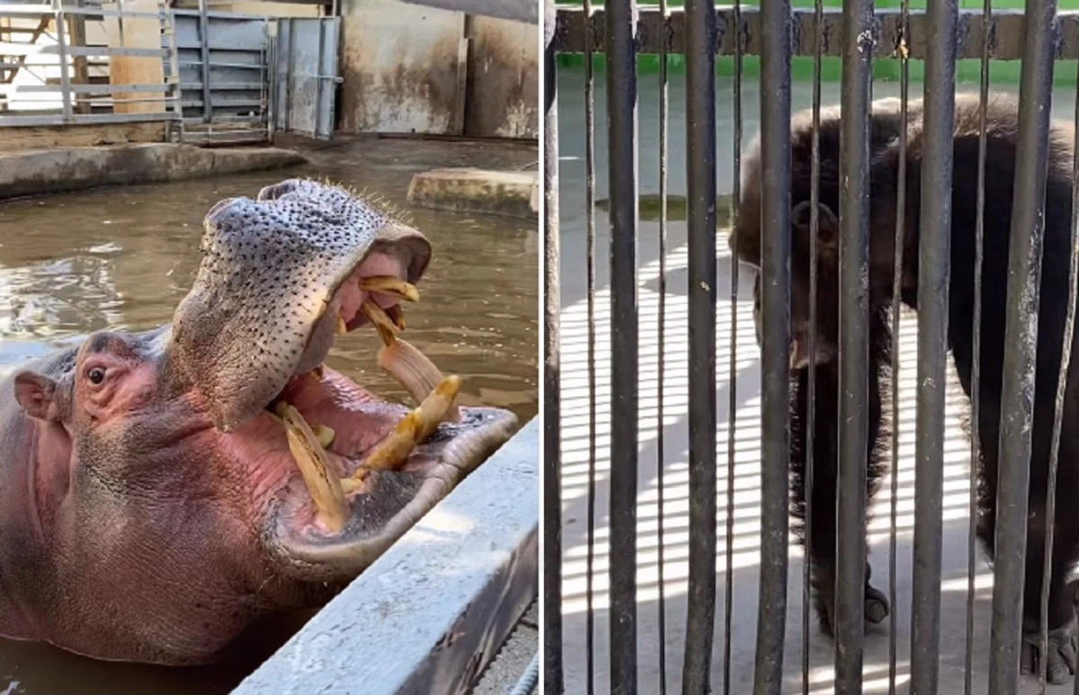 Кадр из видео